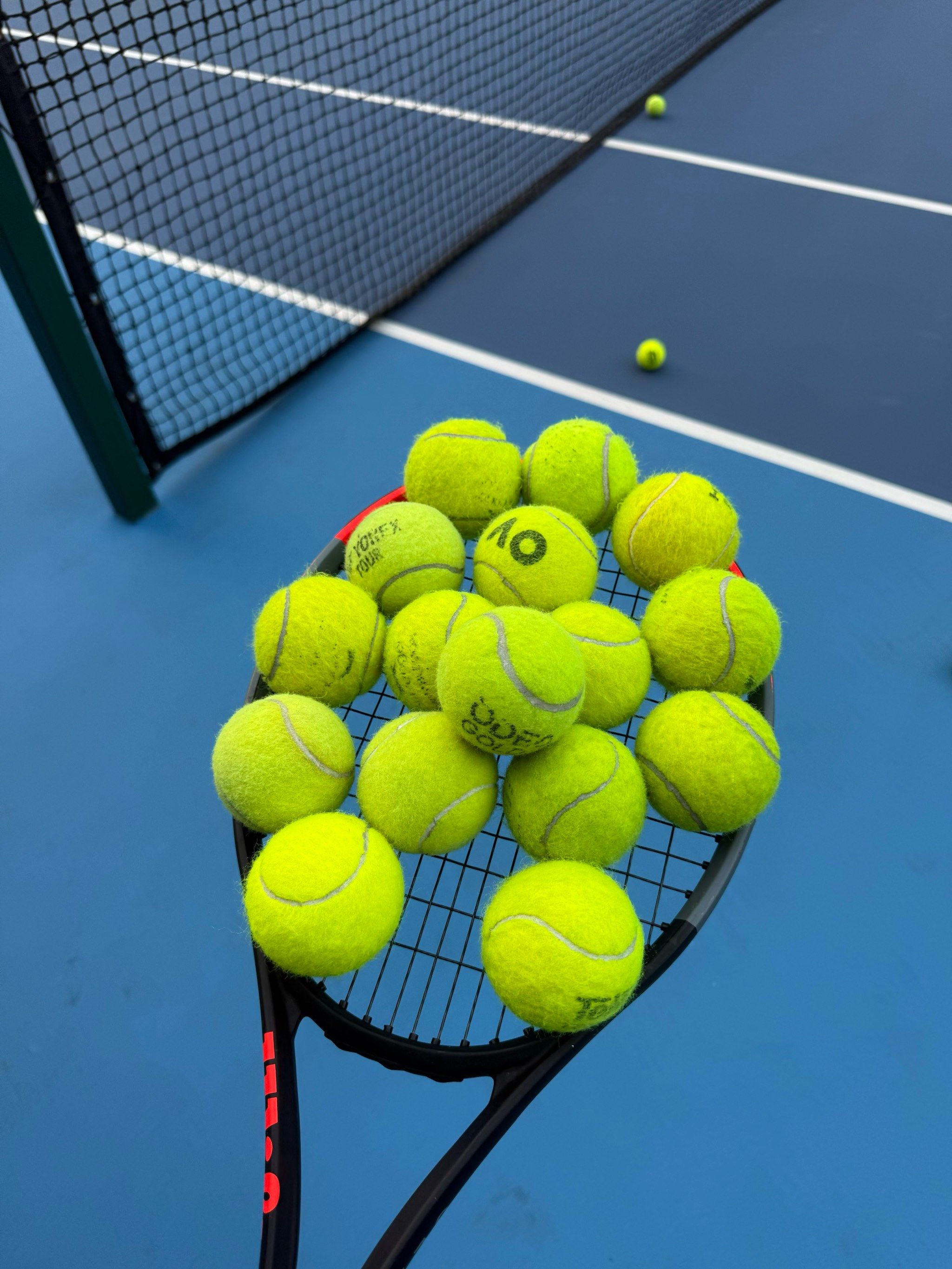 教练组的智 教练组的智