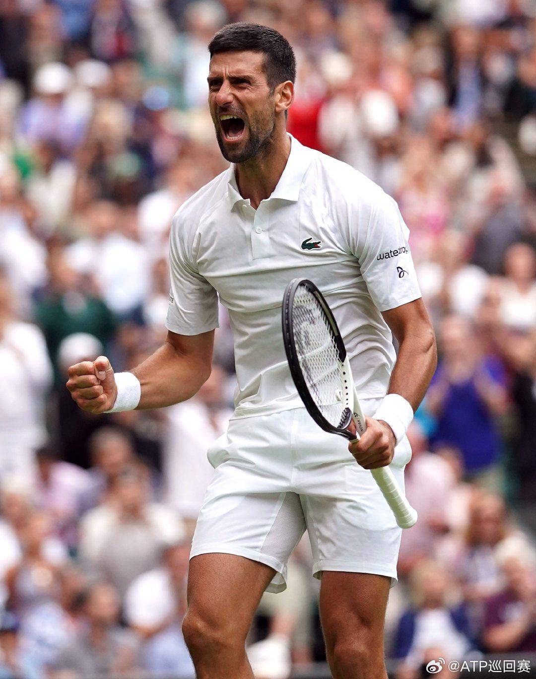 牛牛与特殊 牛牛与特殊